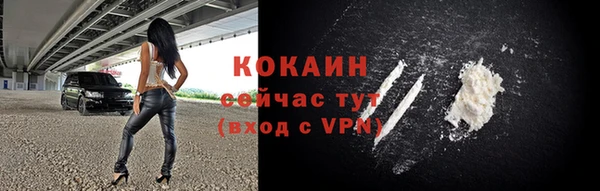 гашик Бородино