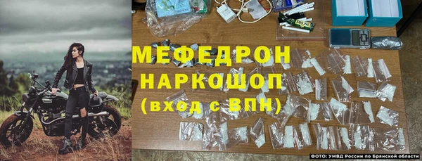 гашик Бородино
