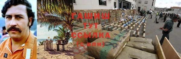 гашик Бородино