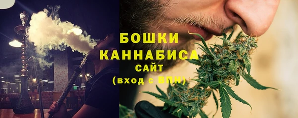 гашик Бородино