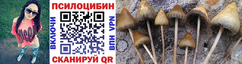 OMG сайт  Лянтор  Галлюциногенные грибы мицелий 