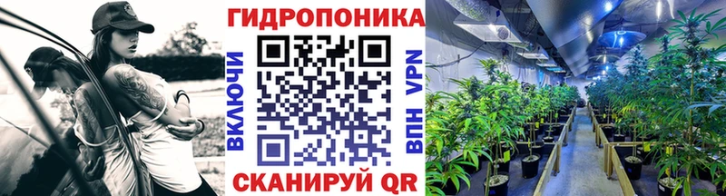 магазин  наркотиков  Лянтор  shop наркотические препараты  Канабис MAZAR 